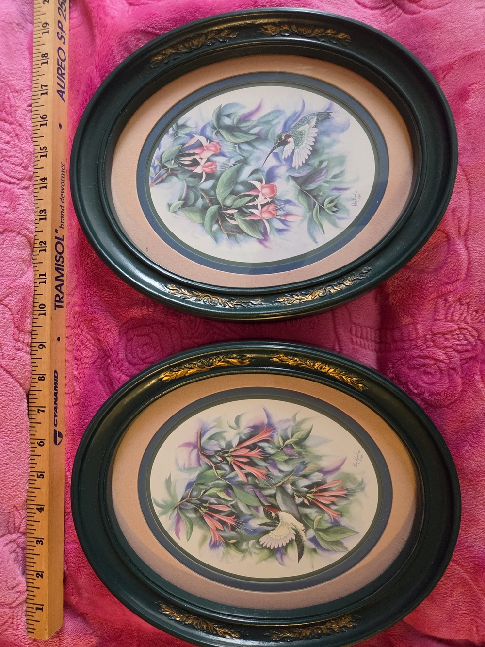 Set Of 2 Floral Hummingbird Wall Art